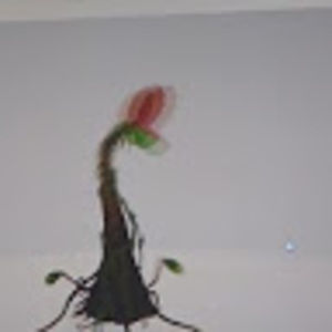 Meet your Posher, Nicholas